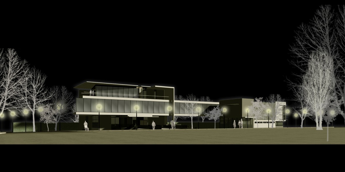 Lauster & Radu Architects Brancusi